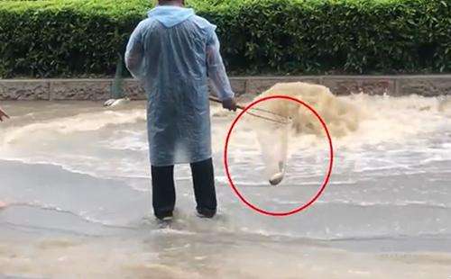 輸送帶廠家：廣州雨后內(nèi)澇嚴(yán)重，路人當(dāng)街捕魚