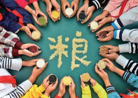 輸送帶廠家：第40個世界糧食日，食品安全很重要