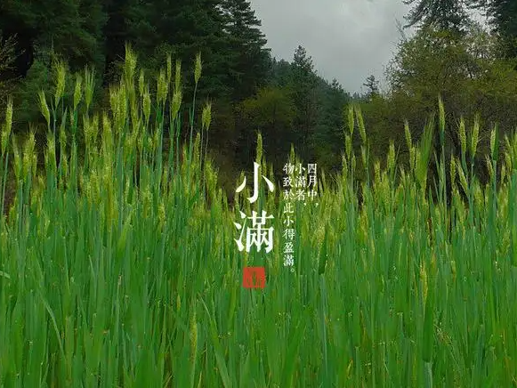 今日小滿，擎川與你一起靜待美滿！